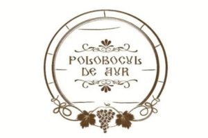 vinuri-moldovenesti-artizanale-la-festivalul-polobocul-de-aur-2015